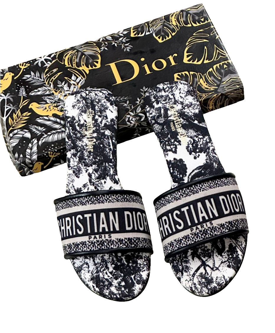 DIOR PRINTED FLATS - ThreeSons